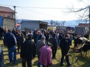 sajam-Cetingrad-2015-21