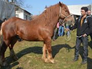 sajam-Cetingrad-2015-23