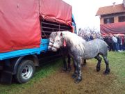 Josipovo_Cetingrad_2017_02