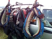 Josipovo_Cetingrad_2017_09