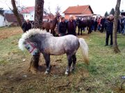 Josipovo_Cetingrad_2017_13