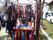 Josipovo_Cetingrad_2017_18