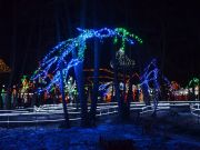 Bozicna_prica_Salajland-09