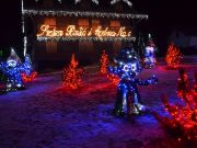 Bozicna_prica_Salajland-25