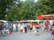 Zbor-Svete-Jelene-2